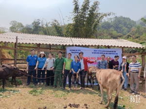 49 TIN VỀ THÁNG THANH NIÊN 01