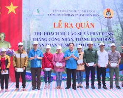 44 Bài DAM BAO AN TOAN LAO DONG TRONG KHAI THAC MU CAO SU