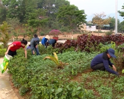 Công đoàn Điện Biên: Đẩy mạnh thi đua  chào mừng kỷ niệm 70 năm Chiến thắng Điện Biên Phủ