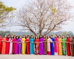 Nữ cán bộ, công chức tỉnh Điện Biên duyên dáng hưởng ứng tuần lễ áo dài năm 2025 bên hoa ban Tây Bắc