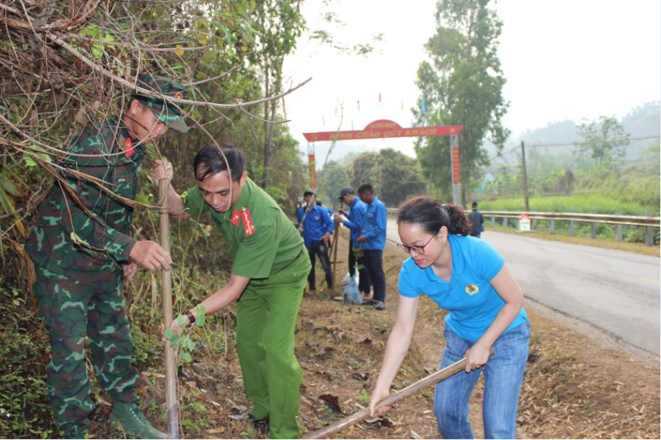 03 Trồng cây hoa ban 01