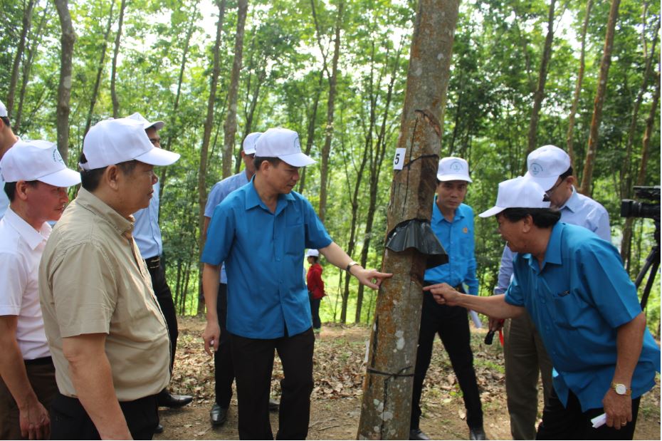 29 Tin bài Lễ ra quân thu hoạch mủ Cao su Điện Biên 05